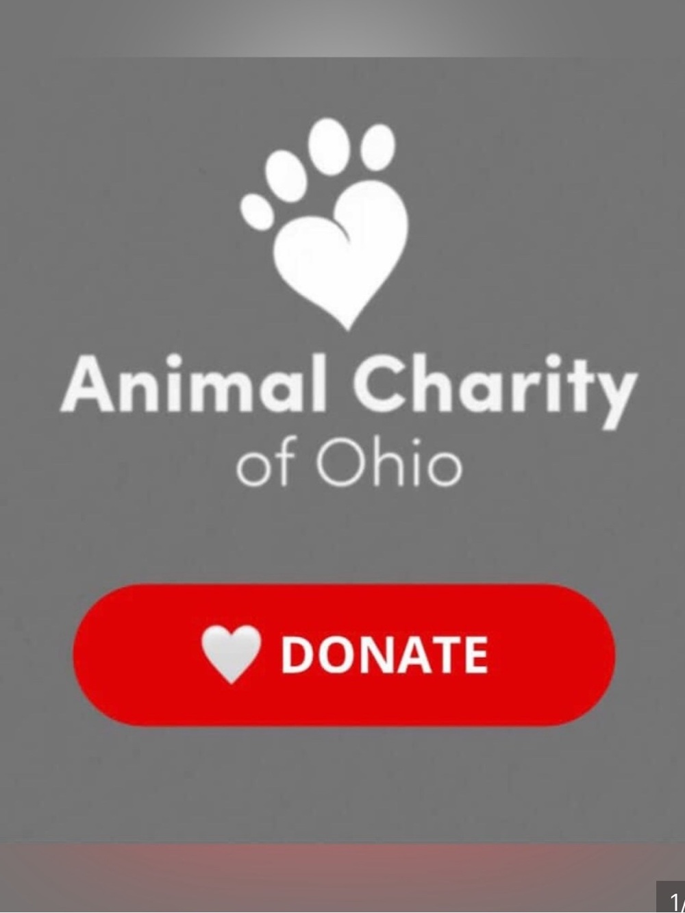 100% of this donation goes to FULL CIRCLE rescue and sanctuary.